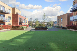 Photo 13- click for photo gallery